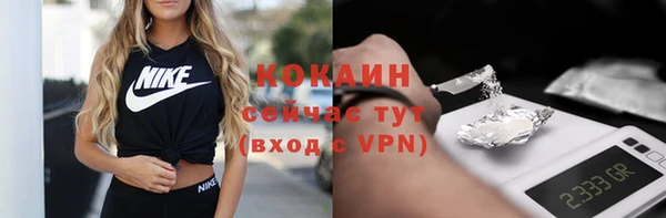 стафф Верхний Тагил