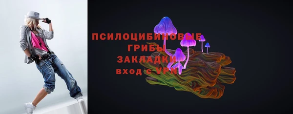 ешки Верея