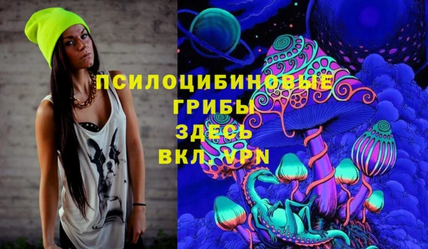 ешки Верея