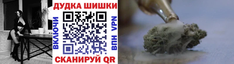 наркотики  Петропавловск-Камчатский  Каннабис индика 